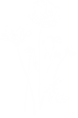 flower-putih1